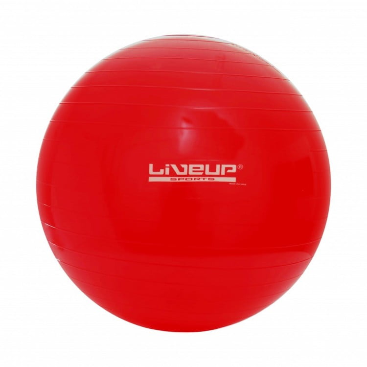 BOLA SUIÇA PREMIUM - 45CM - LIVEUP