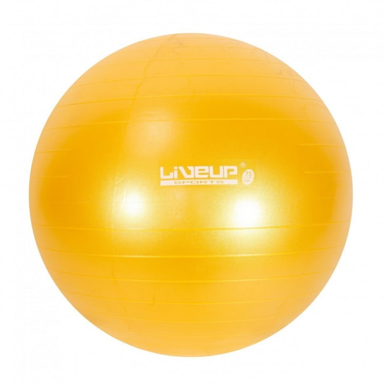 BOLA SUIÇA PREMIUM - 75CM - LIVEUP